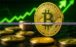 数码宝贝大乱斗，暴龙大作战的终极对决,数码宝贝暴龙大冒险