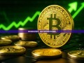 探索加密货币世界，如何下载并安装币安电脑版