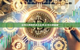 公司分类的艺术与实践,公司分类标准