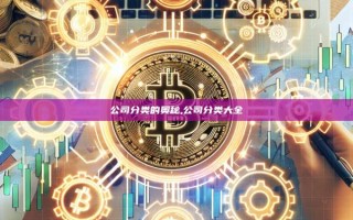 公司分类的奥秘,公司分类大全