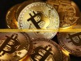 财金通，金融科技的未来之路,财金通app