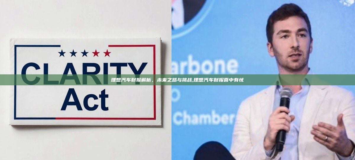 理想汽车财报解析，未来之路与挑战,理想汽车财报喜中有忧-第1张图片-币安app