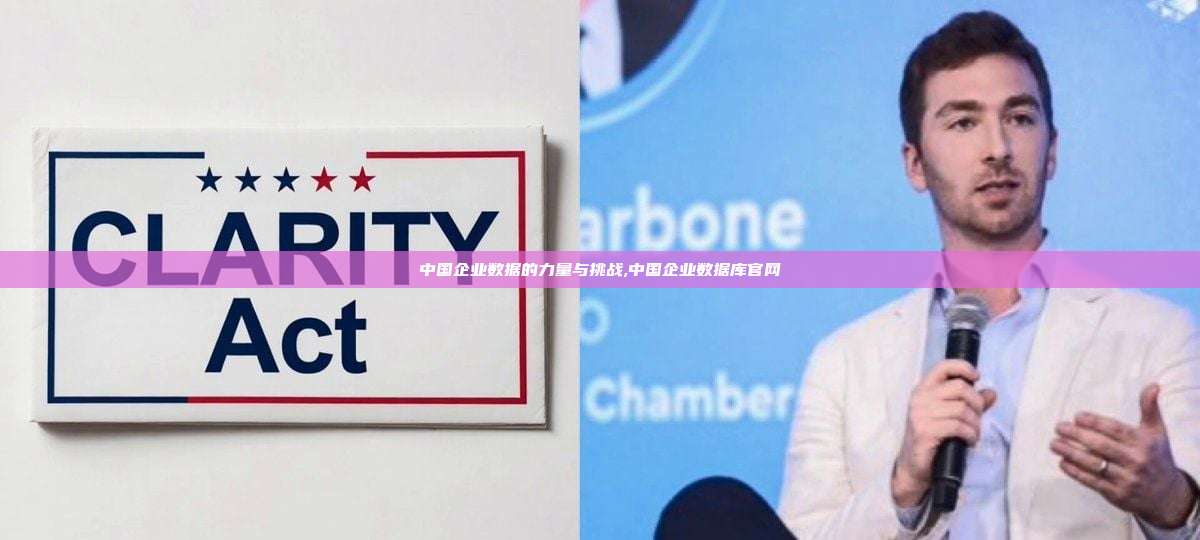中国企业数据的力量与挑战,中国企业数据库官网-第1张图片-币安app 中国企业数据的力量与挑战,中国企业数据库官网-第1张图片-币安app